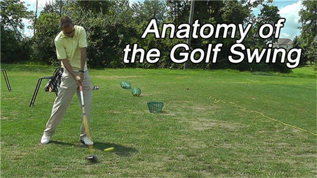 Golf swing speed muscles