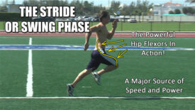 The running process - swing phase