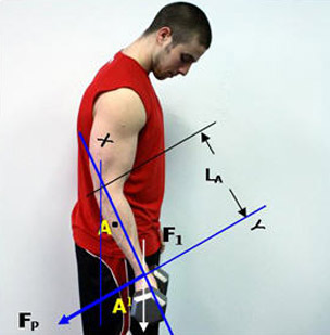 isometric exercises for elbow