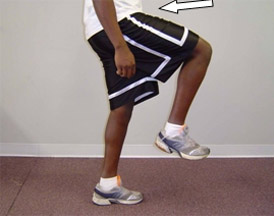 Main-Function-of-Thigh-Flexors