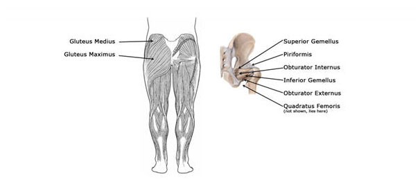 internal-hiprotator