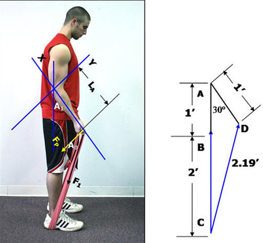 isometrics-figure6