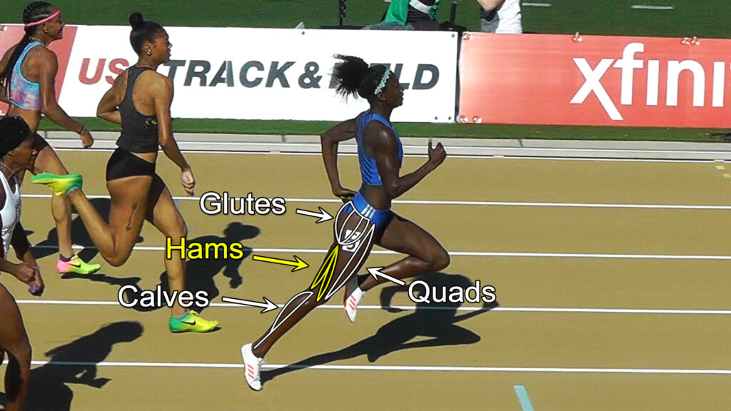 female sprinter glutes