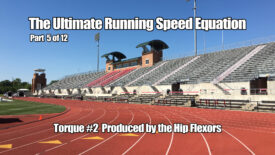role of hip flexors in running