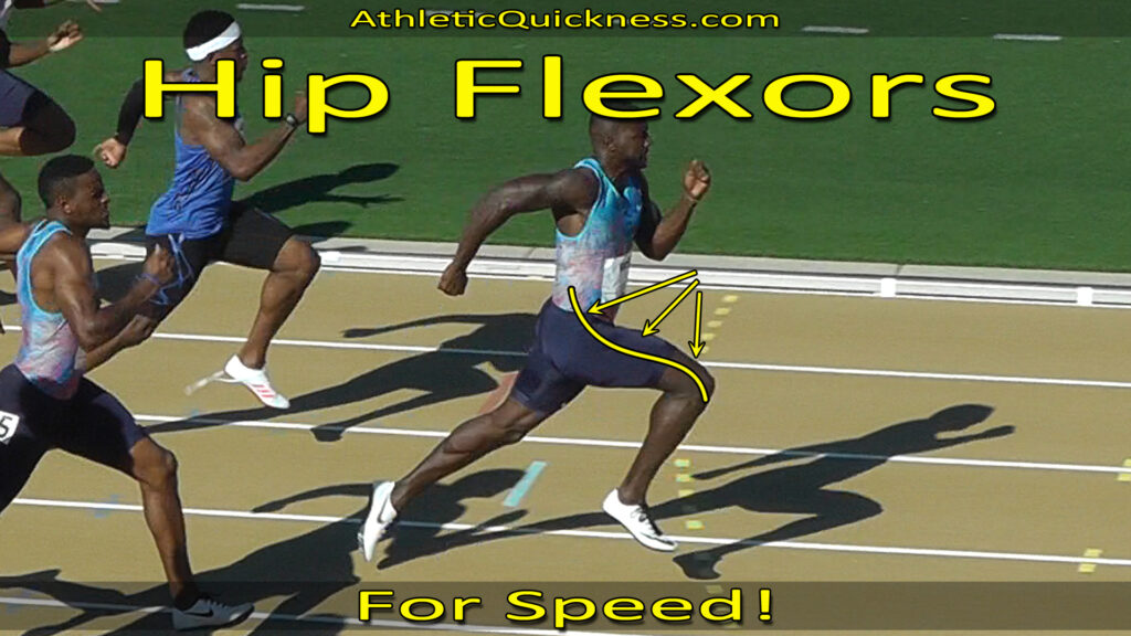 hip flexors for speed