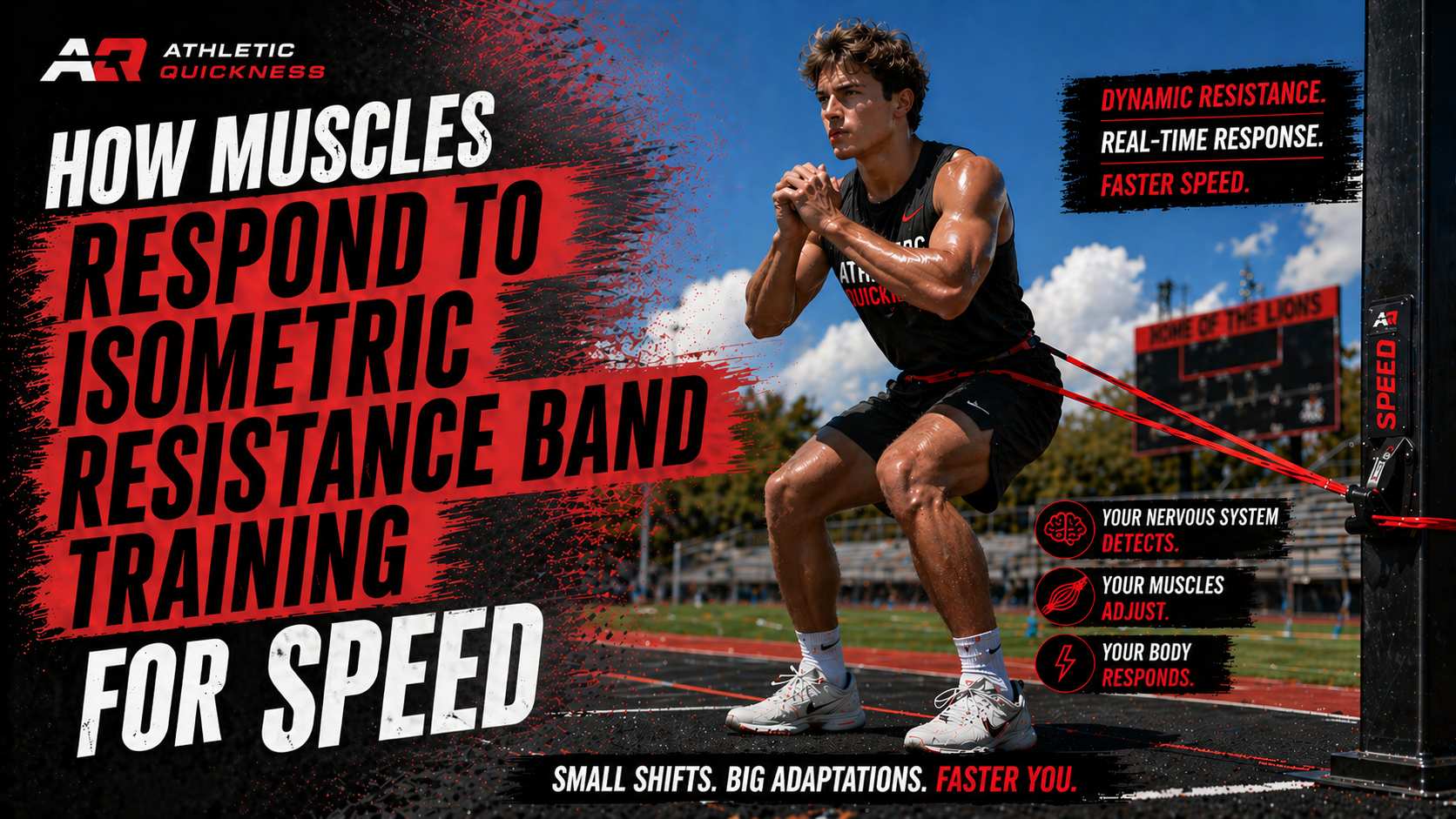 how muscles respond to isometric training with bands