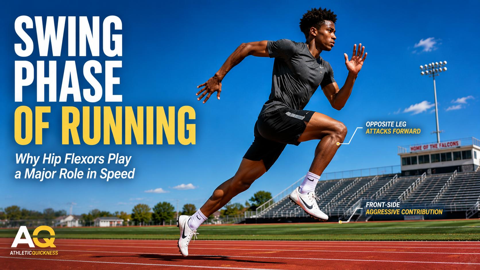 swing phase of running