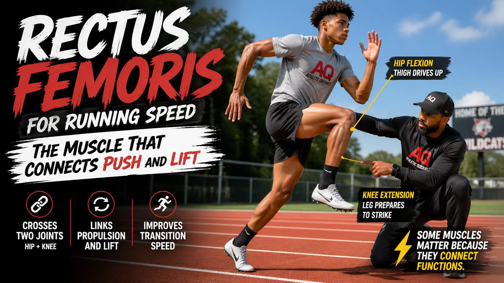 rectus femoris for running speed
