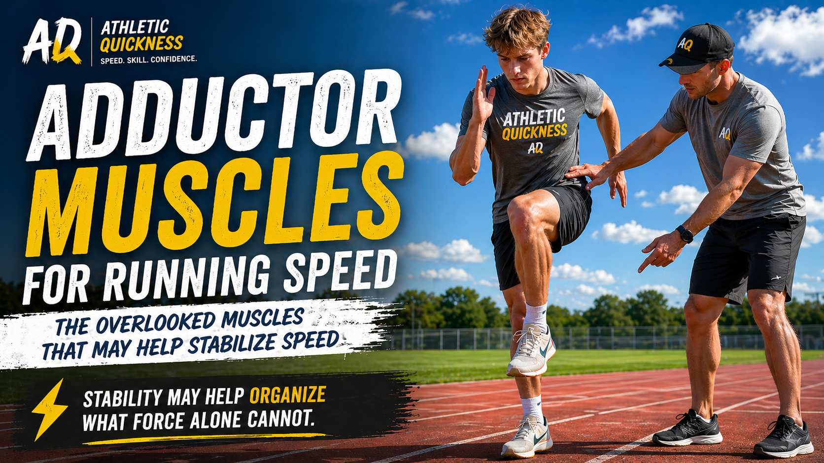 Adductor Muscles for stability