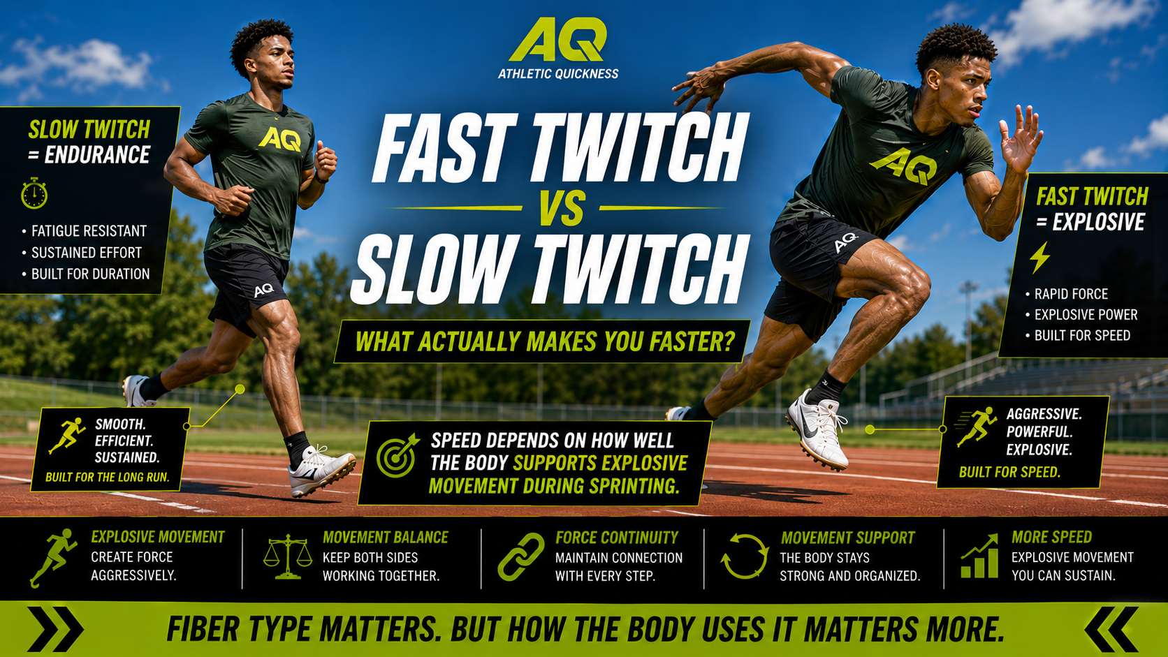 fast twitch vs slow twitch