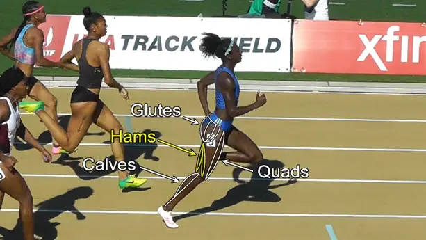 running muscles for speed