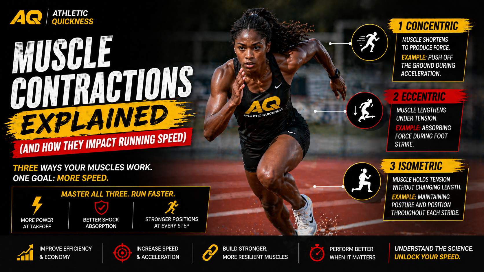 muscle contractions explained