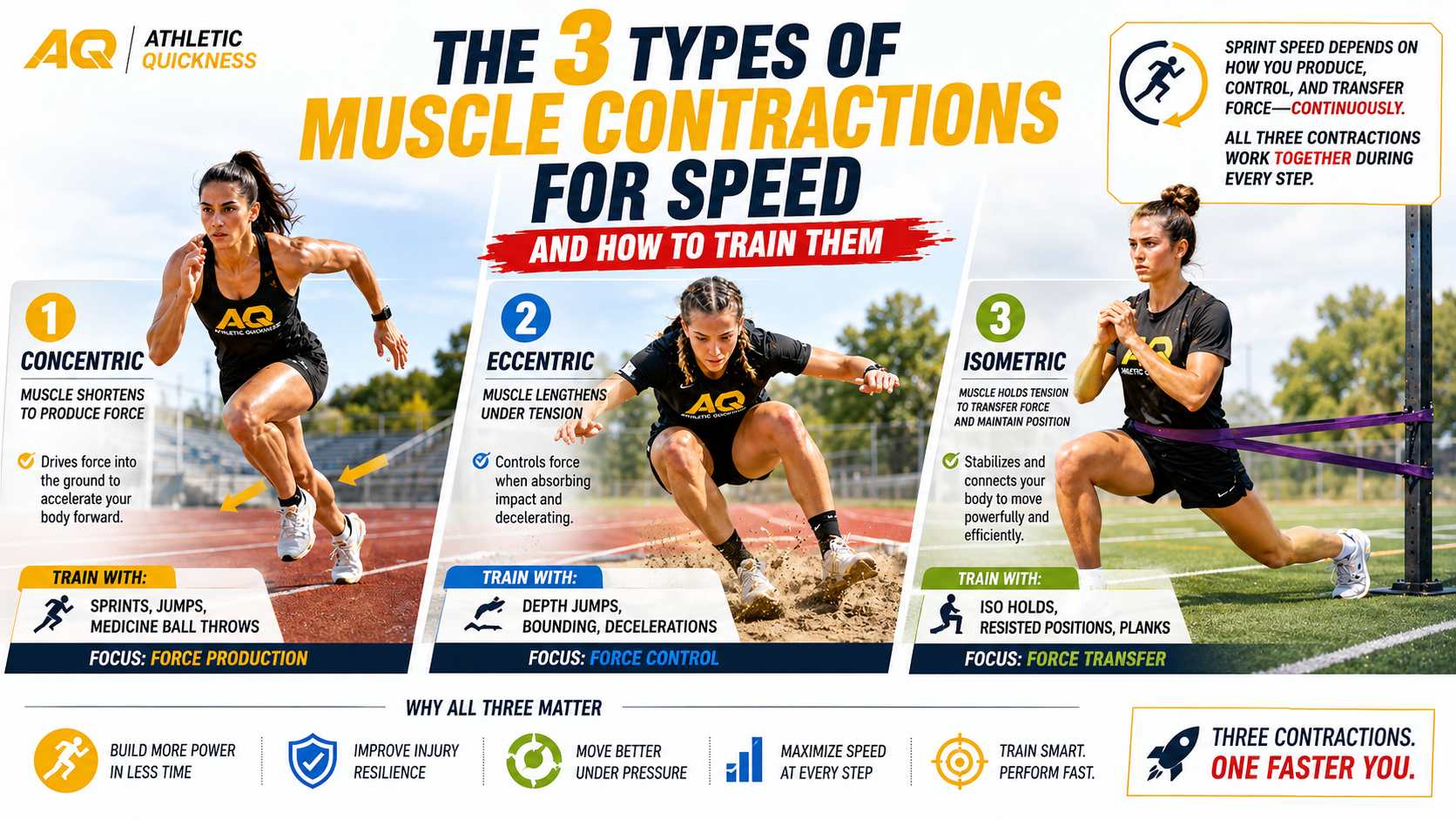 three types of muscle contractions