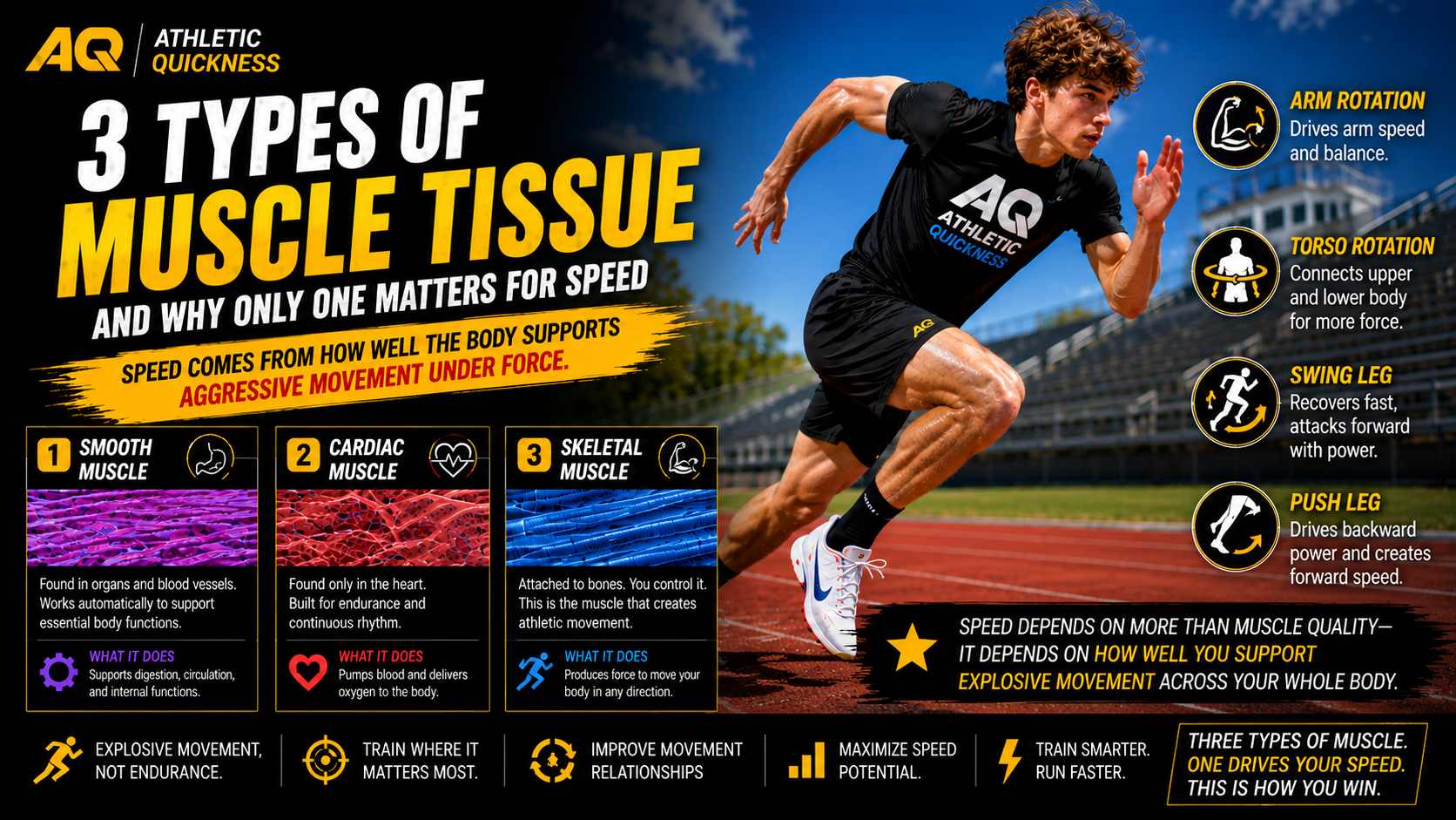 three types of muscle tissue for sports