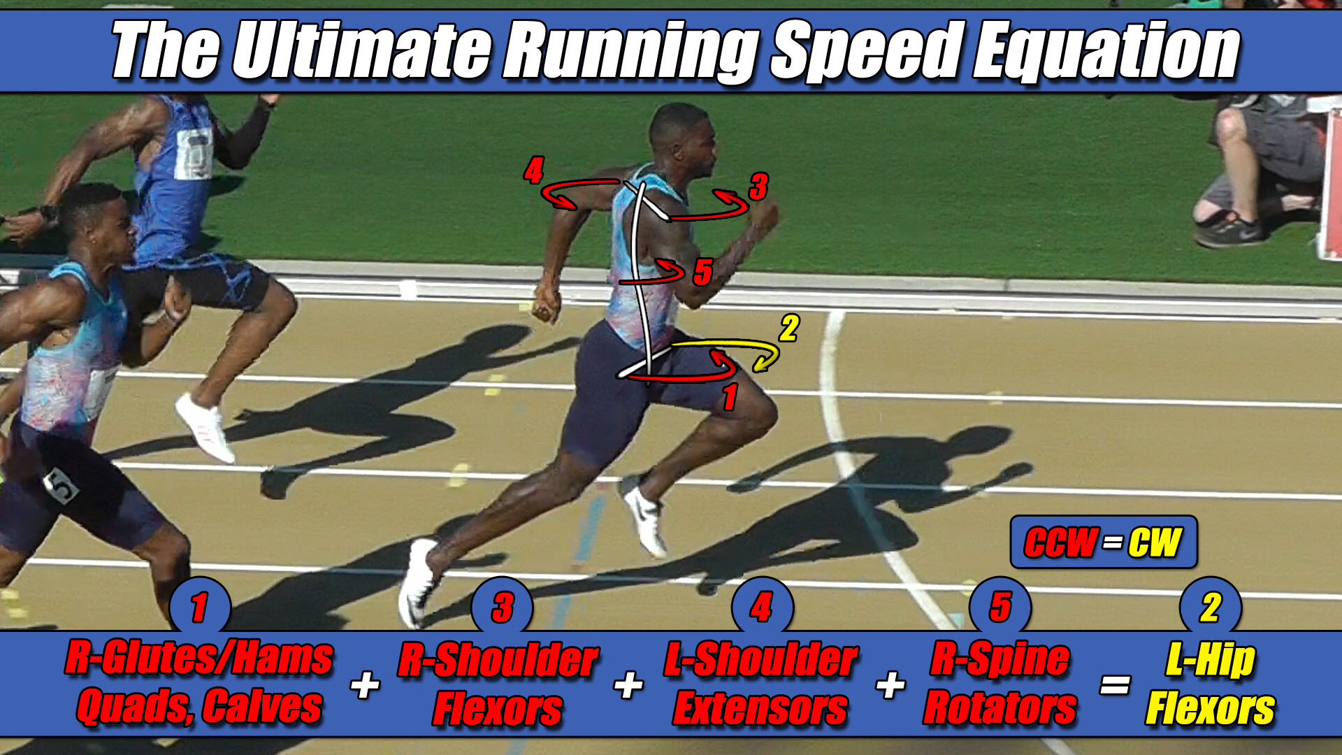 the rosetta stone for determining torque patterns in athletes