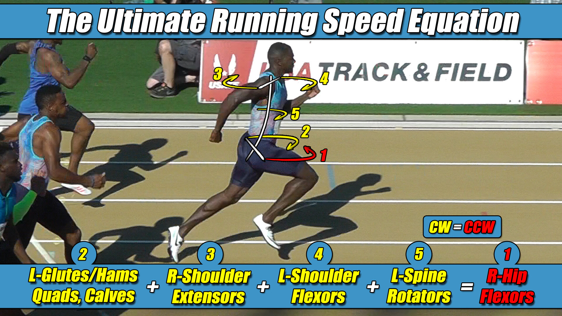 the rosetta stone in running. how to determine an athlete's torque pattern